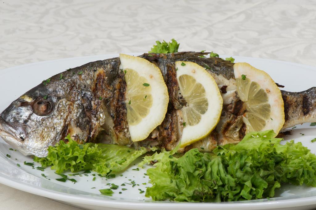 Odyssey Hotel & Spa Agia Efimia 外观 照片